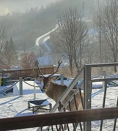 Na Skale Z Widokiem Na Panorame Karkonoszy Alpstuga Szklarska Poręba