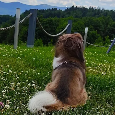 Na Skale Z Widokiem Na Panorame Karkonoszy Chalet