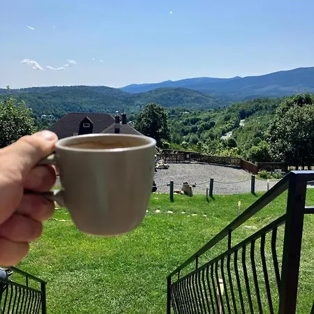 Na Skale Z Widokiem Na Panorame Karkonoszy *