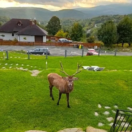 Alpstuga Na Skale Z Widokiem Na Panorame Karkonoszy *