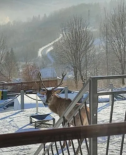 Na Skale Z Widokiem Na Panorame Karkonoszy Шале Шклярска-Поремба