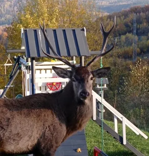 Na Skale Z Widokiem Na Panorame Karkonoszy Шале Шклярска-Поремба