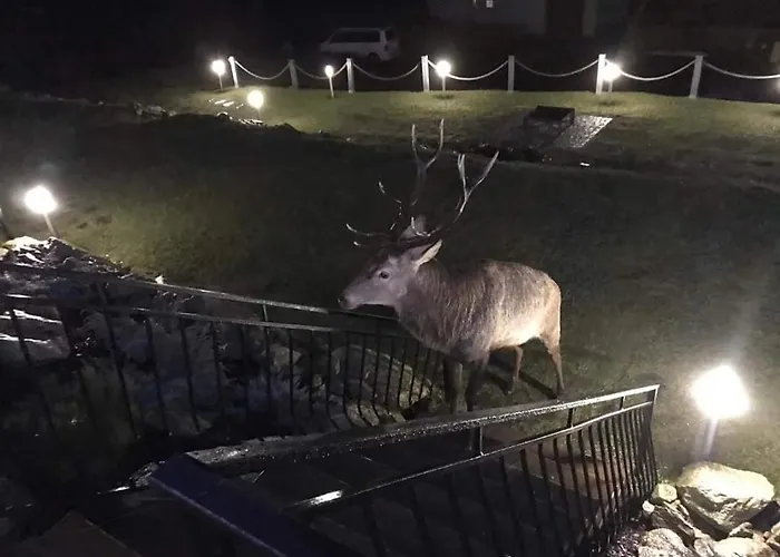 Na Skale Z Widokiem Na Panorame Karkonoszy Шале