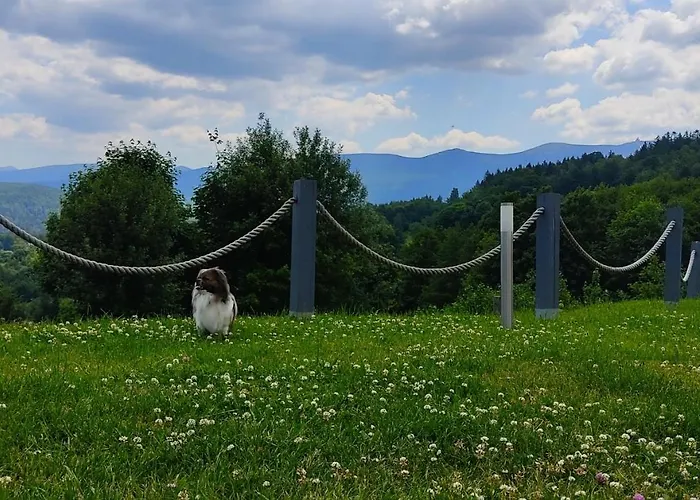 Na Skale Z Widokiem Na Panorame Karkonoszy Шале *