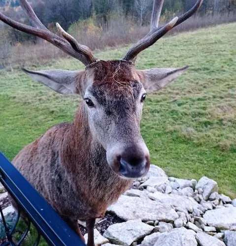 Na Skale Z Widokiem Na Panorame Karkonoszy