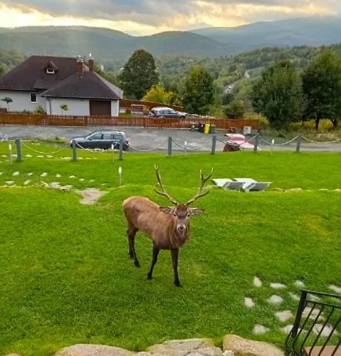 Шале Na Skale Z Widokiem Na Panorame Karkonoszy *