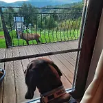 Alpstuga Na Skale Z Widokiem Na Panorame Karkonoszy Szklarska Poręba