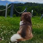 Na Skale Z Widokiem Na Panorame Karkonoszy Alpstuga