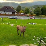 Alpstuga Na Skale Z Widokiem Na Panorame Karkonoszy *