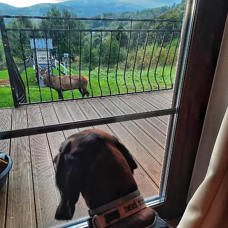 شاليه Na Skale Z Widokiem Na Panorame Karkonoszy شكلارسكا بوريبا