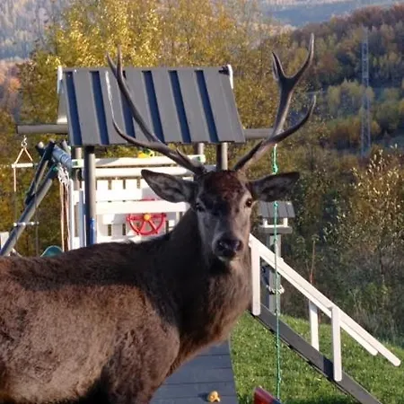 Na Skale Z Widokiem Na Panorame Karkonoszy شاليه شكلارسكا بوريبا
