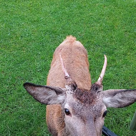 Na Skale Domek alpejski Szklarska Poręba