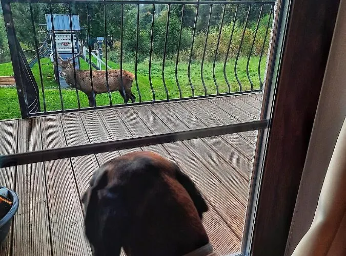 Domek alpejski Na Skale Szklarska Poręba