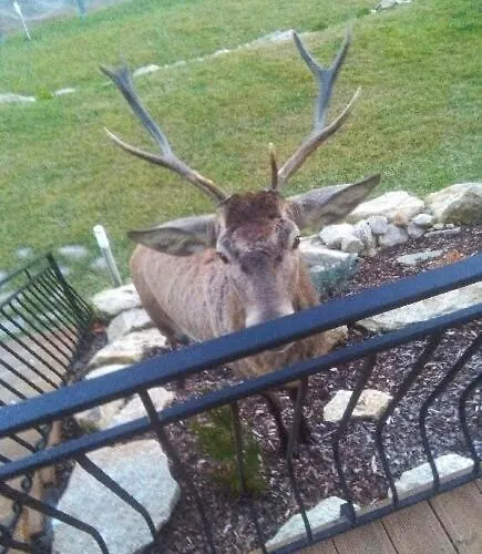 Na Skale Szklarska Poręba