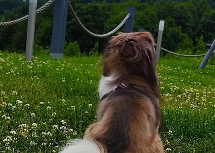 Na Skale Domek alpejski