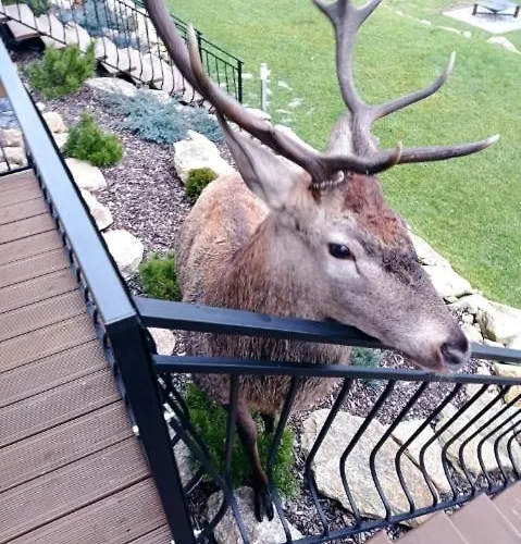 Na Skale Domek alpejski *